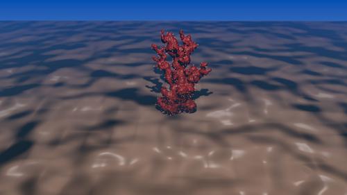 Sea Coral preview image